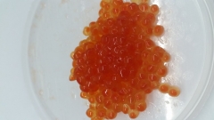 Камчатская икра